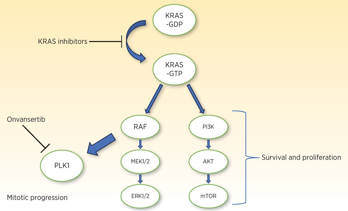 Polo-like Kinase 1 Inhibition in KRAS-Mutated Metastatic #ColorectalCancer. bit.ly/4dFkCHT