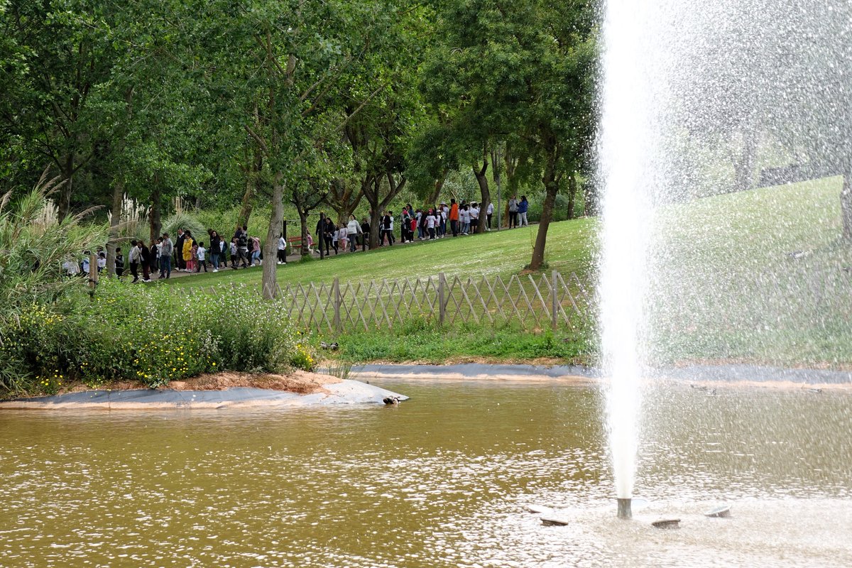 cmcadaval's tweet image. Esta quarta-feira, dia 15 de maio, assinala-se o Dia Internacional da Família. Nesse sentido, a Escola Básica  N.º 1 do Agrupamento de Escolas do Cadaval comemorou a data com a realização de uma caminhada no Parque de Lazer da Mata da Misericórdia.

#caminhada #educação #cadaval