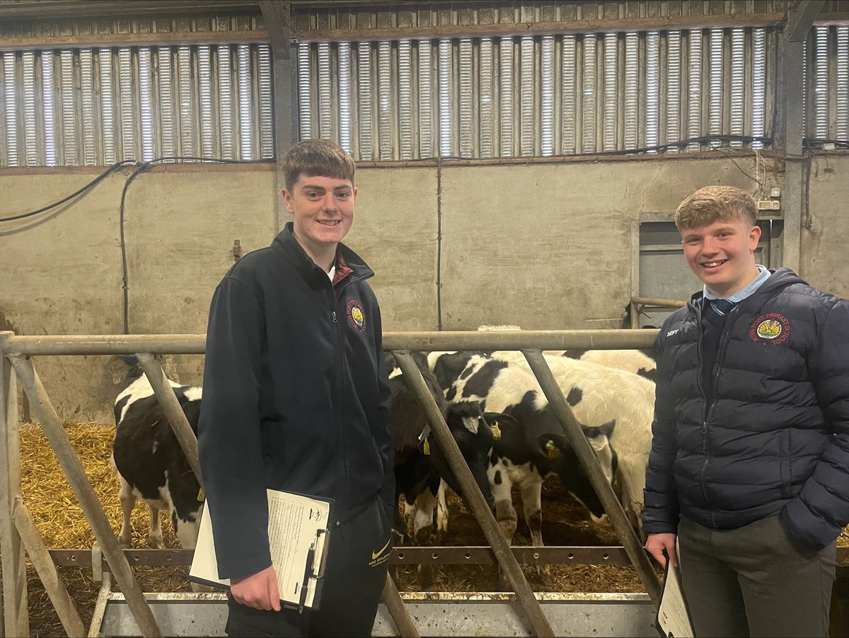 Bush Post Primary tweet media