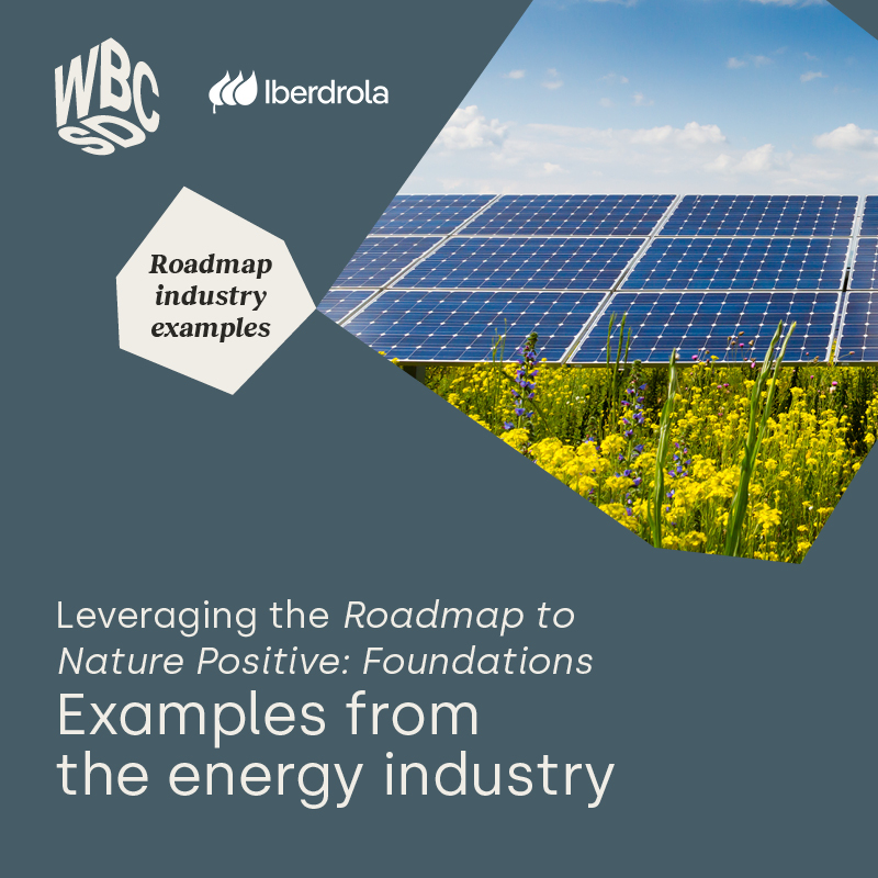 🌟 #MemberSpotlight: discover @iberdrola's dedication to building an #EnergyTransition in harmony with nature & communities. 🌳 Are you also looking to enhance your existing nature strategy or start a new one? 👉 Read here: wbcsd.org/Pathways/Energ…