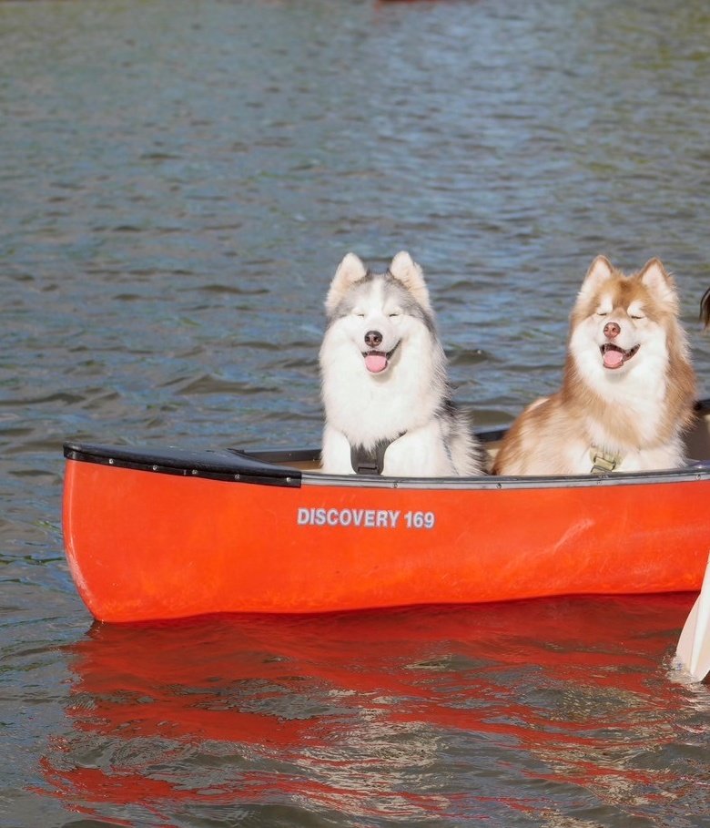 まぶしっ🛶