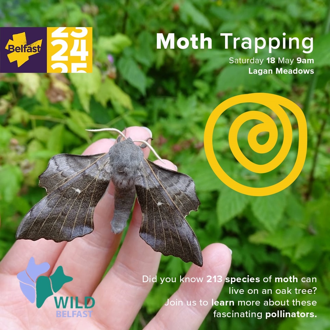 Join us this Saturday to learn more about these misunderstood pollinators, and meet some of the ones that call Lagan Meadows home!
For more information and to sign up for this free event, visit our website: wildbelfast.org/events-1/moth-…