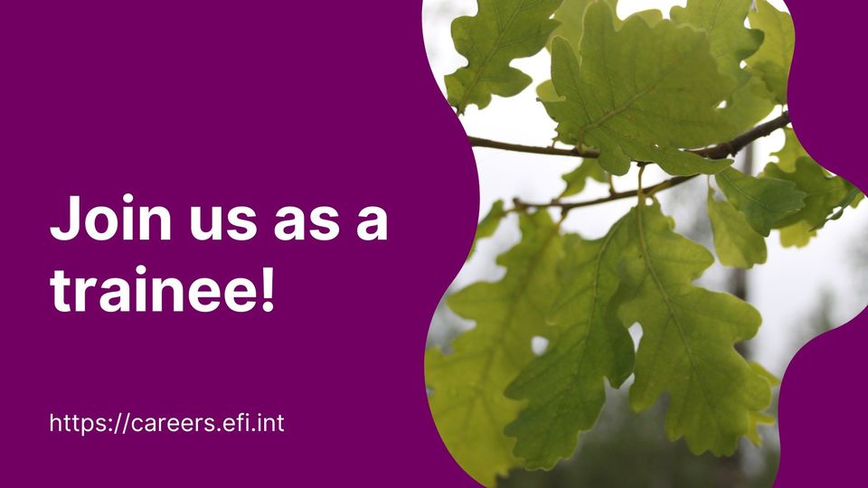 Do you want to join a multicultural team dedicated to promoting international cooperation on #Mediterranean forests & other environmental issues? 🚀🌿🌍 Don't miss this chance to become our next Events & project support trainee in Barcelona! Apply now 👇 careers.efi.int/o/events-and-p…