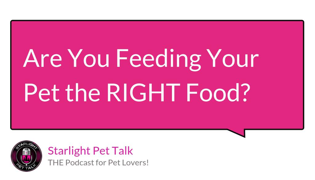 Give your pet the gift of nutrition, one bowl at a time! 🎁🍽️ #NutritionMatters

Read more 👉 lttr.ai/ASoLs

#petnutrition #podcast #pets #starlightpettalk #cat #petparent #dog