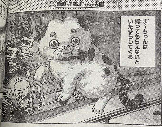 本日発売の週刊少年チャンピオンに『超・子猫 ま゛〜ちゃん』の第5話が掲載されています。ま゛〜ちゃんは構ってもらえないといたずらしてくるそうです。よろしくお願いします! 