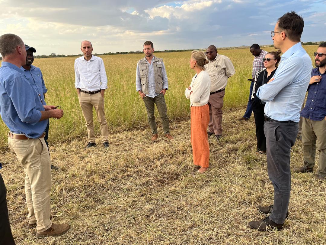 Visit to the SEFF Project, Mwenezi District, by the @euinzim and Heads of Department Corporation in the Embassies of Switzerland, France, Ireland and the Netherlands.