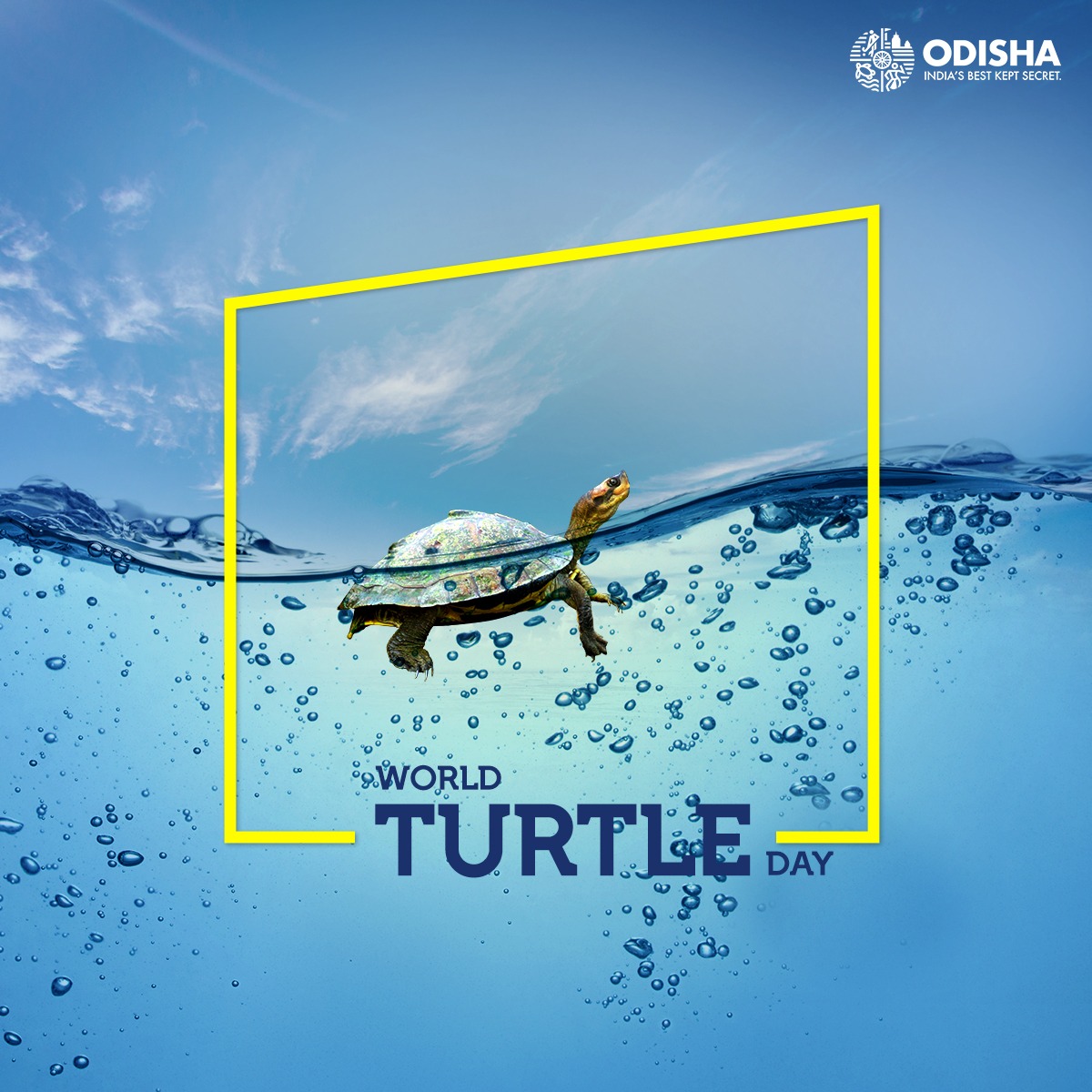 Celebrating #WorldTurtleDay #DidYouKnow, Gahirmatha Marine Sanctuary in Odisha is world's largest known rookery for the endangered Olive Ridley Turtles.