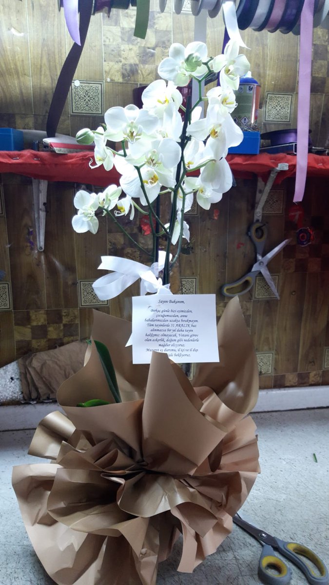 <a href="/EgitimBirSen/">Eğitim-Bir-Sen</a> Tayinlerde 31 Aralık tarihi baz alınsın <a href="/Yusuf__Tekin/">Yusuf Tekin</a>