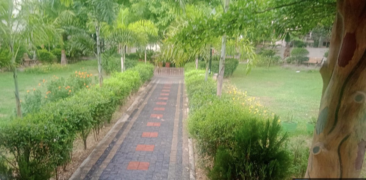 BSCL_BBSR's tweet photo. Experience peace and relaxation in BMC parks. Spend some quality time in the beautifully maintained green spaces. #UrbanGreenery #BMCParks #BhubaneswarFirst https://t.co/JaKwl2TvN2