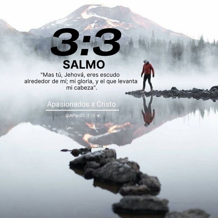 Mas tú, Jehová, eres escudo alrededor de mí;
Mi gloria, y el que levanta mi cabeza.

Salmos 3:3