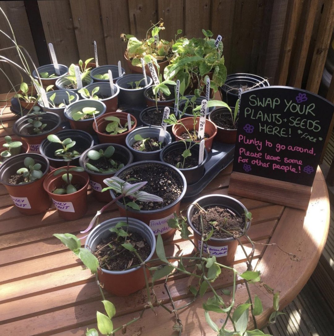 Plant Swap this Sunday 19th 2-6pm!🪴 Bring your unwanted #plants and swap them for new ones! Free plants, seeds & pots will be available in the #pubgarden - we just ask for a small donation to our chosen charity @OfficialPCA ☀️