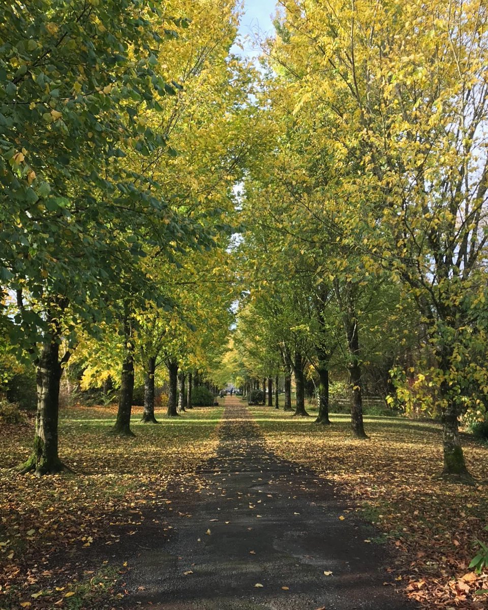 MarymNormoyle's tweet photo. Calling all families! Escape the ordinary &amp; immerse yourselves in the magic of Ireland's prettiest village, Adare. With its charming thatched cottages, historic buildings, fashion shops, &amp; scenic riverside walks, Adare is the perfect destination for a summer adventure. https://t.co/cSKTWL4HPL