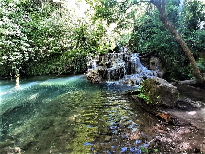 The interaction of the various plants and animals in nature, a cornerstone of life, should also be a model for us humans of respect and kindness towards ourselves and nature.💚☘️🌿🌱🌳🌲🍀💚