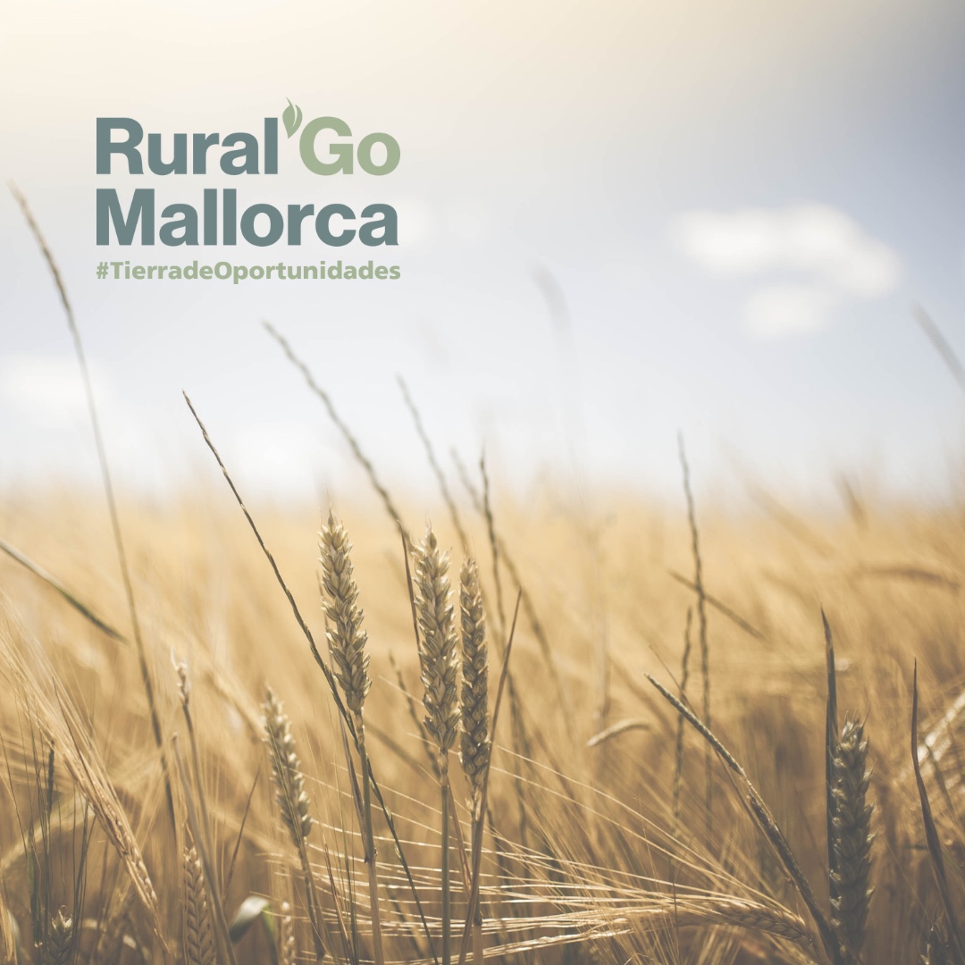 🌾 Posam en marxa la I Edició del premis #RuralGo per a impulsar la consolidació d'empreses en l'àmbit rural. ✅ Es premiaran 4 plans estratègic empresarials amb 1.000€ i suport tècnic per implantar-los. ✅ Pots participar fins el 15 de juny. ℹ️ tn.caib.es/RuralGo