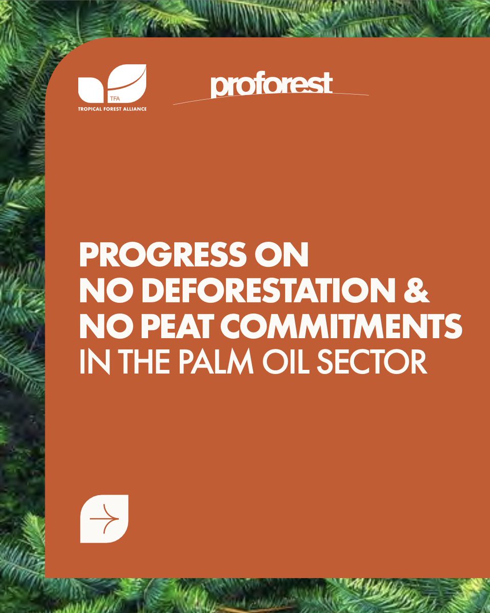 The NDPE-IRF tool is a great example of industry collaboration and transparency - more companies should be using this tool to increase transparency and promote progress across the palm oil sector, and beyond. tropicalforestalliance.org/assets/Palm-ND… #PalmOil #Palm #NDPE #NDPEIRF #Deforestation