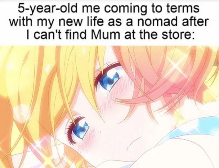 5-year-old me coming to terms with my new life as a nomad after I can't find Mum at the store
.
➡️follow @animedakimakurapillow 
.
#AnimeDakimakuraPillow #Animemes #AnimeMemes #Memes #DailyMemes #OtakuMemes #Animes #Anime #Otaku #Manga #AnimeArt #AnimeGirl #AnimeEdits #AnimeLover