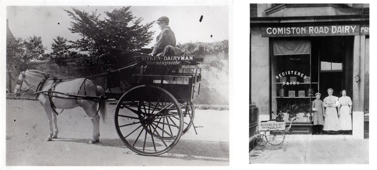Life on Comiston Road, Morningside Edinburgh more than 100 years ago 🥛🐎 These photos are part of our online exhibition ‘Animal Encounters’ which explores the constantly evolving nature of relationships between humans and animals.

exhibitions.ed.ac.uk/exhibitions/an…