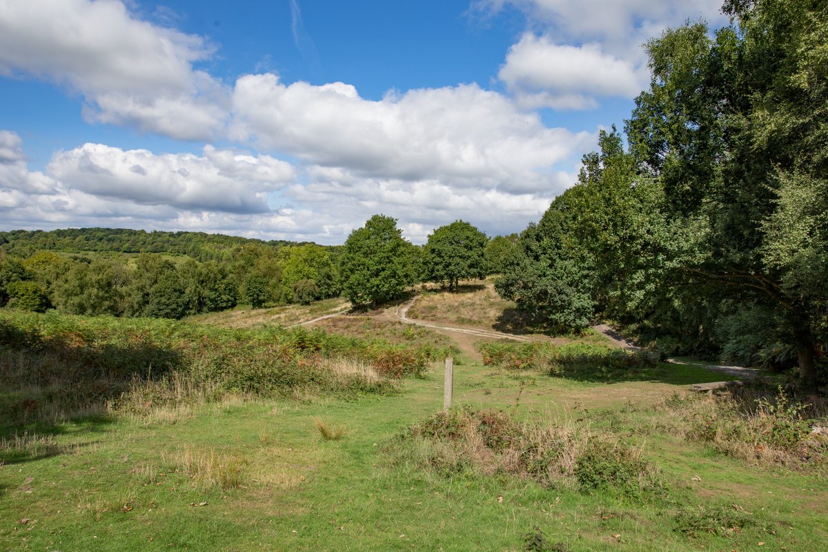 *1st June 2024* Join a 2 mile guided walk over Headley Heath in #Surrey visiting the remains of military sites associated with the Canadian Army’s preparations for D-Day in 1944. nationaltrust.org.uk/visit/surrey/h… @southeastNT #WW2 #DDay