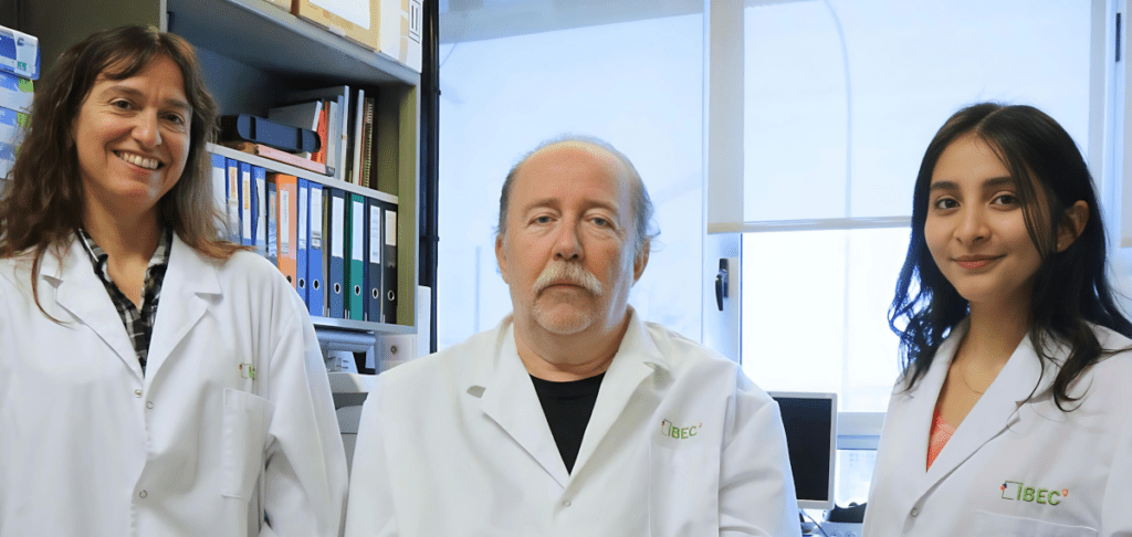 #PCBCommunity| A study led by researches from @IBECBarcelona & @UBneuroscience has identified a new biomarker to diagnose #Alzheimer in asymptomatic stages of the disease 📝@BBAjournals

▶️bit.ly/4ajdsGh

@Rgavinmarin @jadelrioub @UniBarcelona @CIBERER @CIBERNED #UBneuro