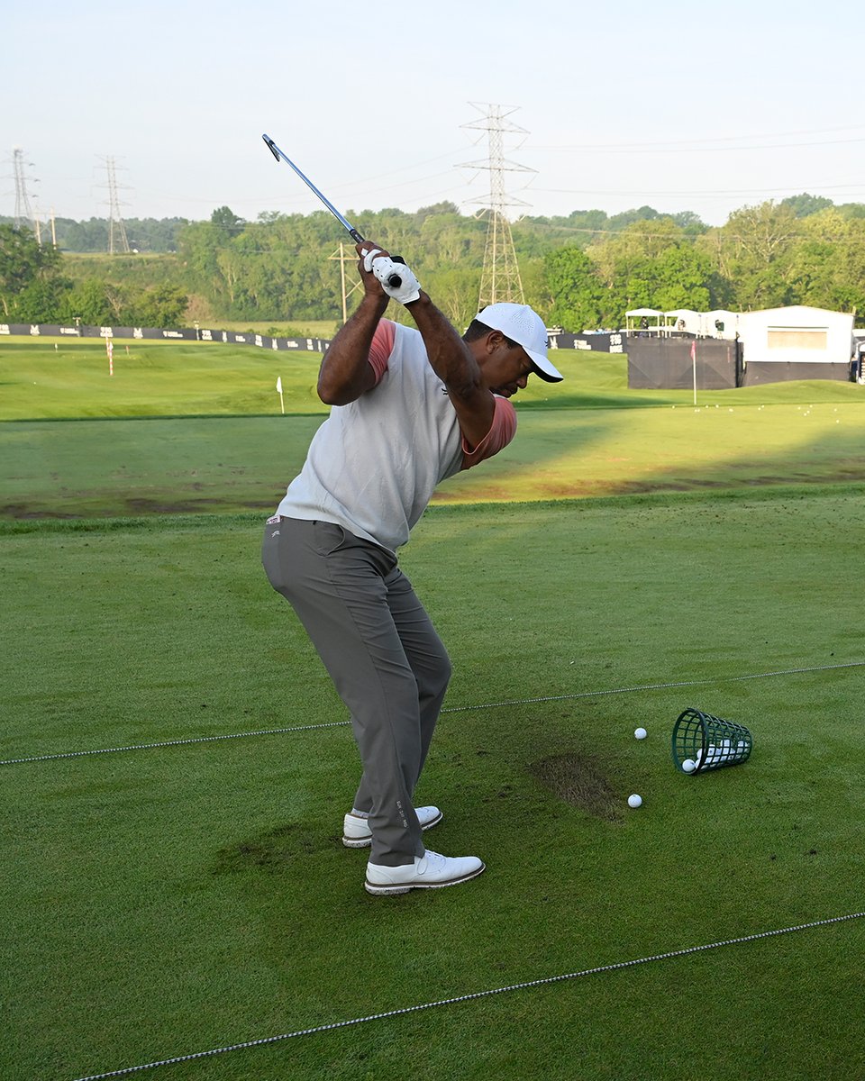 Tiger on the range 🐅