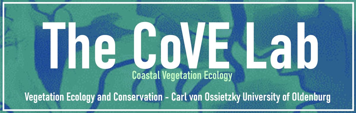 📢postdoctoral research associate vacancy in the CoVE lab (up to 4 years, depending on start date) to work on coastal wetland dynamics , Mini-Buoy monitoring and a decision support tool for managers in the Wadden Sea region. uol.de/stellen?stelle…