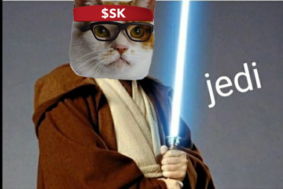 Stonkatsol's tweet photo. You strike Stonkat down 

He comes back more powerful then ever ! 

$SK 

Fuck your puts - bids only https://t.co/QpUy7L0D53