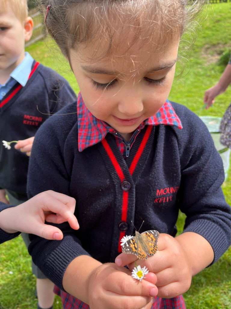 Our Reception class pupils were excited to set our wonderful painted lady butterflies free! 🦋 #butterflies