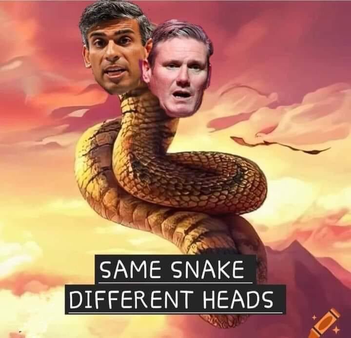 Both leaders #Sunaksnake & #StarmerBollard are like twins so it makes absolutely no difference who gets voted in at no 10? Both weak, pathetic, tied to the WEF & the #EU! Both are turncoats, pathological #Liars & massively disliked 🪱🤡🪱