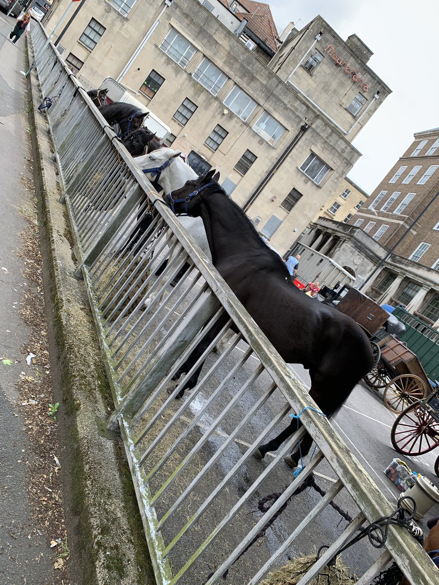 Bristol centre has become horsie-town bc Victorian era filming