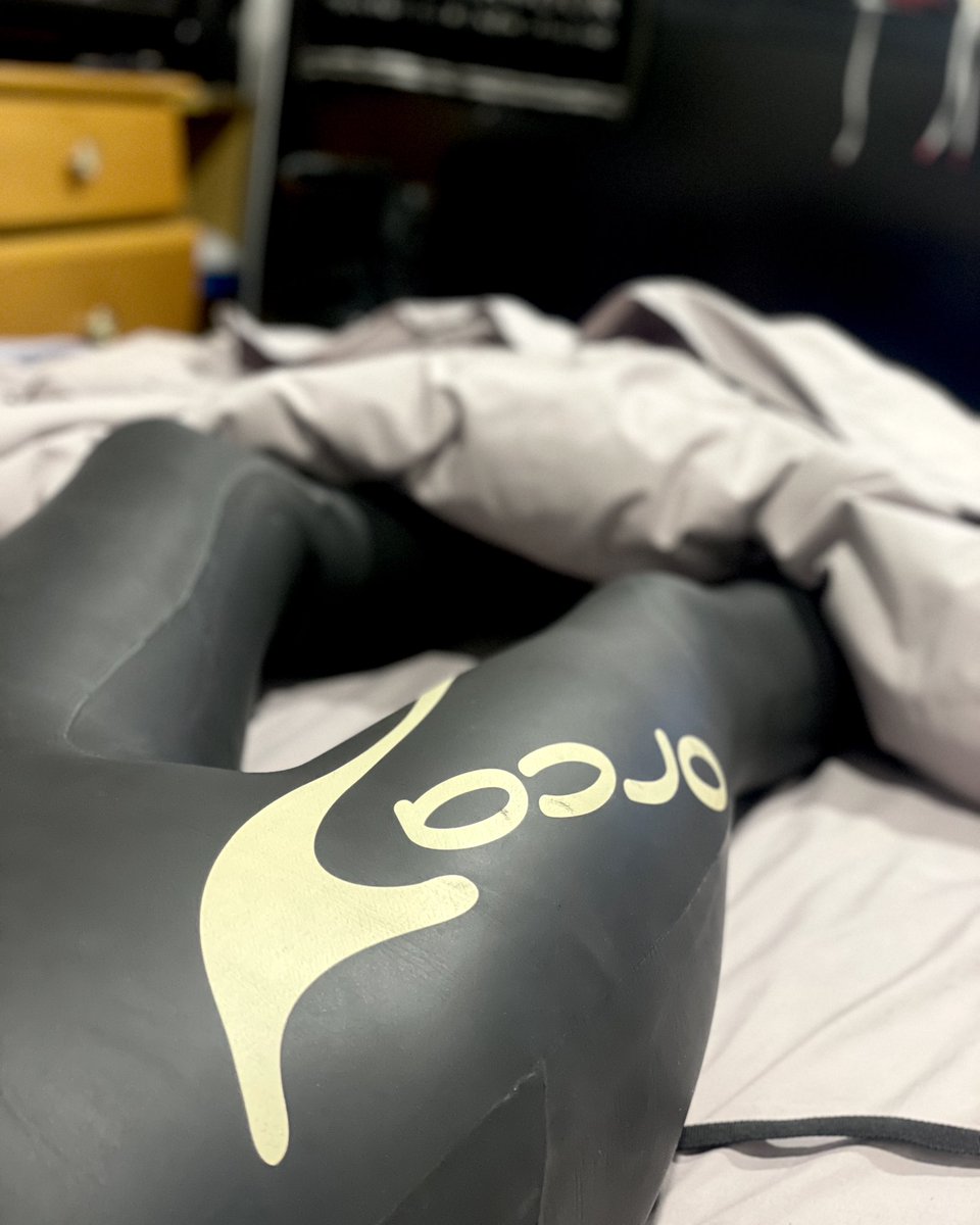 BunZandr's tweet photo. Finally TF’d into that orca I’d always dreamed of being 🥹🧡 https://t.co/gpzgTVfnwz