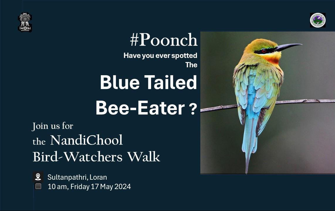 yasinc_ias's tweet image. #Poonch
Loran is an Ornithological hotspot with hundreds of birds from the IUCN Avian Red list having been sighted here. 
ebird.org/region/IN-JK-P…