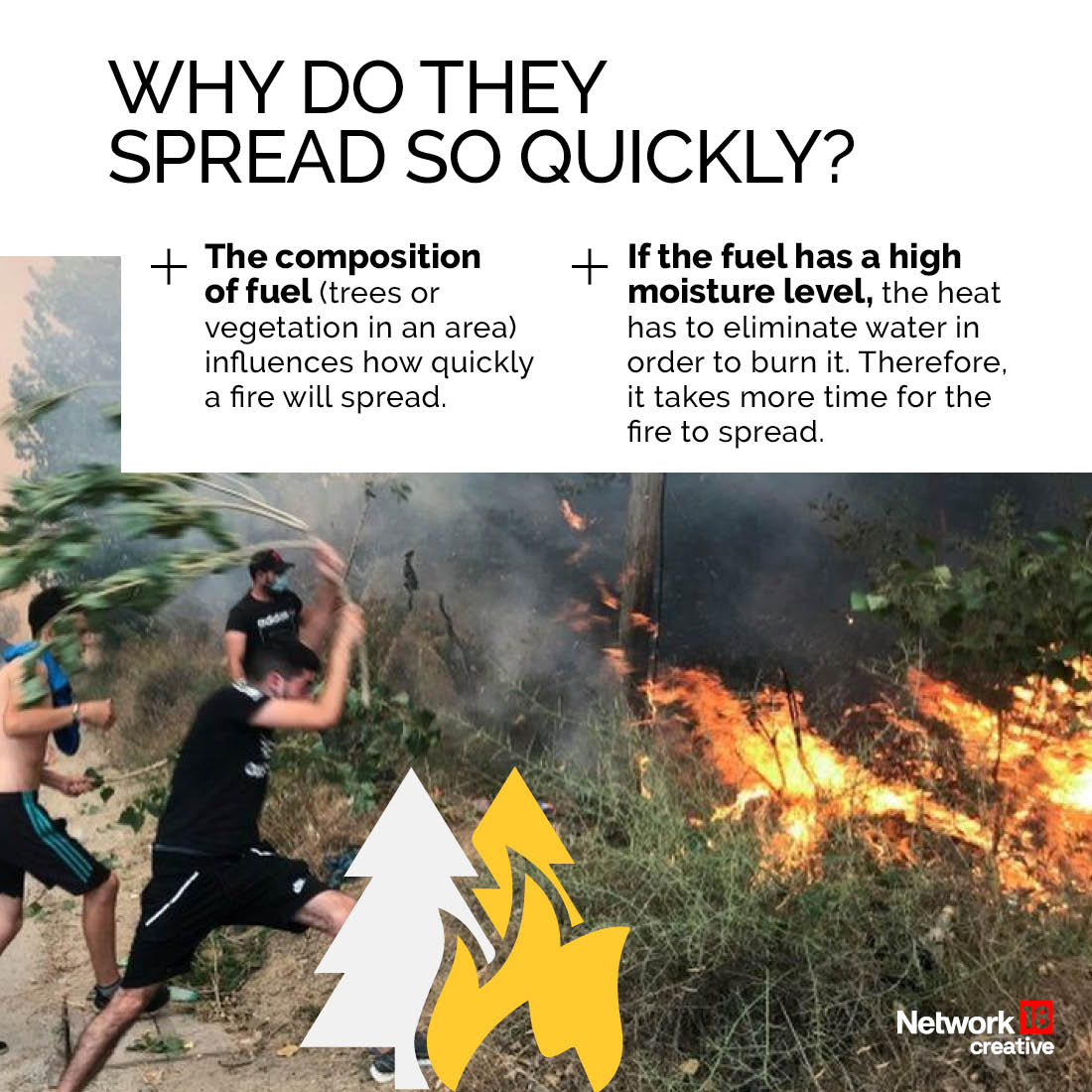 Amidst the raging forest fires in Uttarakhand, it's essential to understand how these wildfires originate and rapidly spread, highlighting the urgent need for awareness and preventive measures. #FPCreatives