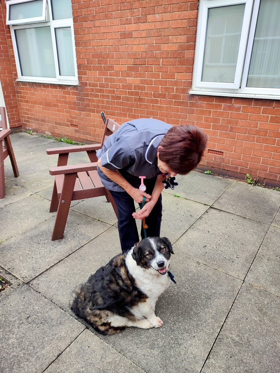 @boltonnhsft Tandal has been out and about cheering staff up this morning. He has visited #BowelScreening Governance #BreastScreening he is back in the office having a rest before Paws and Play in the chapel garden at 1pm.