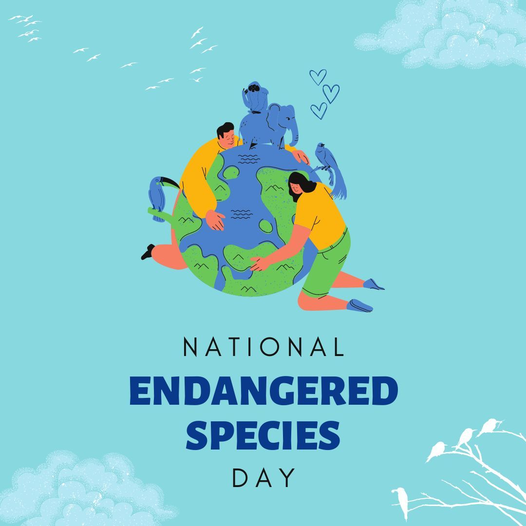 WeAreMashpee's tweet photo. Make sure you are aware of the endangered species near Mashpee and help preserve the life on this beautiful Earth. For more info on North American endangered species check out IFAW https://t.co/NNk2hU2P3l 

#Mashpee #WeareMashpee #Falcons #FalconPride #MMHS #MashpeePublicSchools https://t.co/6PLVHYPlG4