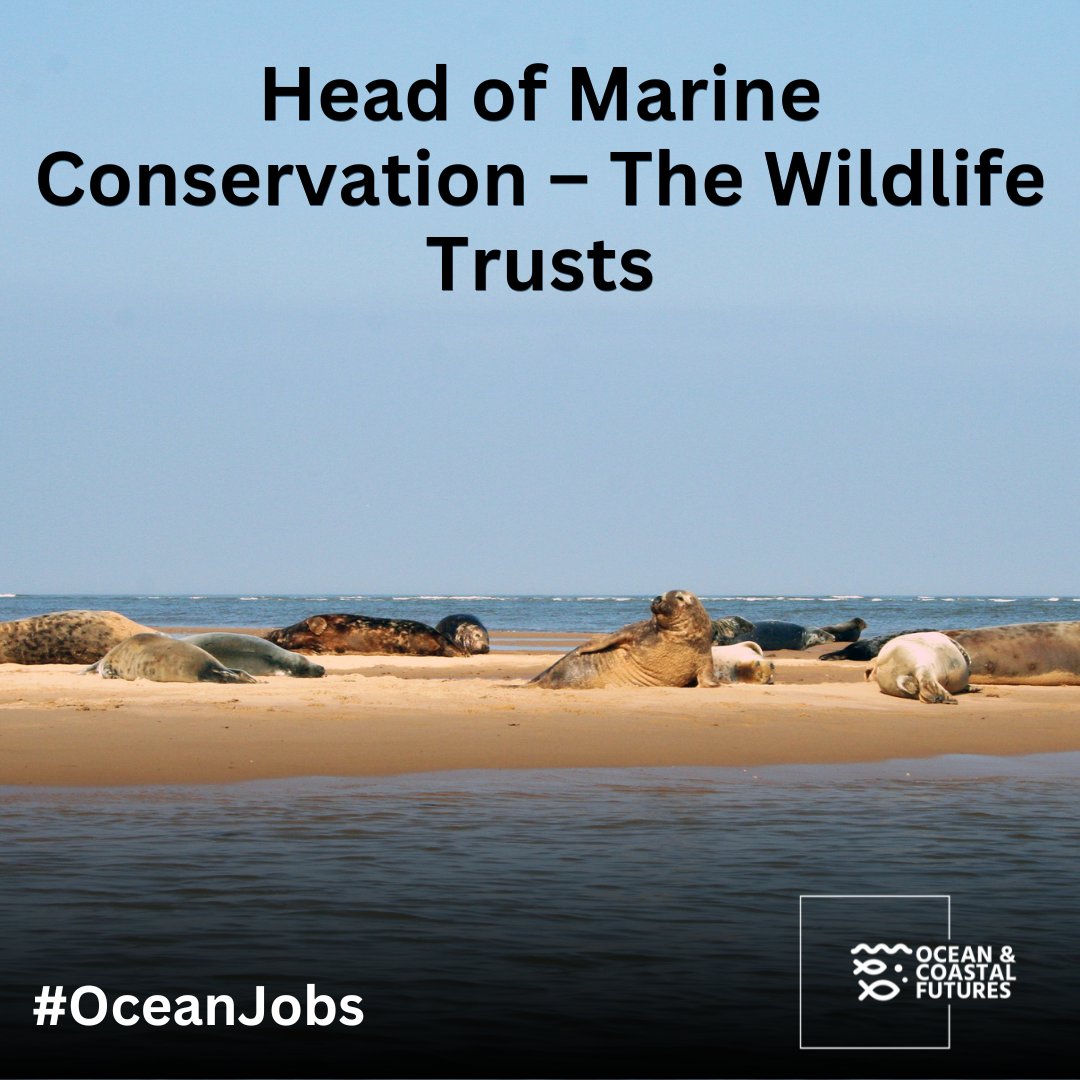 🔔new #job: Head of Marine Conservation – The Wildlife Trusts @WildlifeTrusts

▪️Location: Flexible home working
▪️Closing: 2 June
▪️Salary: £48k
▪️Full details here 👉 cmscoms.com/?p=39262

📩Sign up for our #OceanJobs email alerts here 👉 bit.ly/3MiyV7i
#vacancy