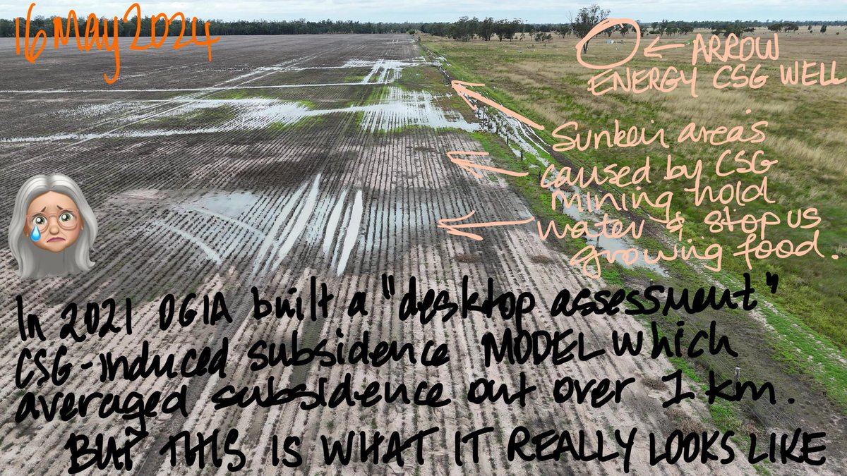 Arrow Energy’s mining of methane gas for export has caused this damage to our paddock.  The sunken areas caused by the mining hold water, stopping us from growing food.  So not only is the gas helping cook the planet, it’s also contributing to starving the masses.