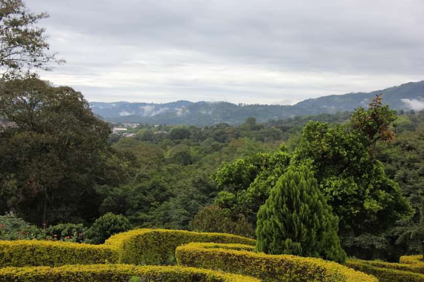 La Unión Europea y @Fedecafeteros socializaron el Reglamento 🇪🇺 sobre Productos Libres de Desforestación a Comités de Cafeter@s del Huila, para que este producto no provenga de tierras deforestadas ni contribuya a la degradación de bosques. Junt@s por un futuro más sostenible.