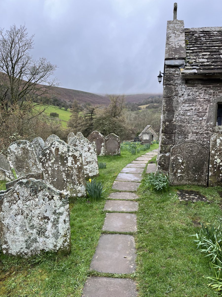 Frances Spurrier tweet media