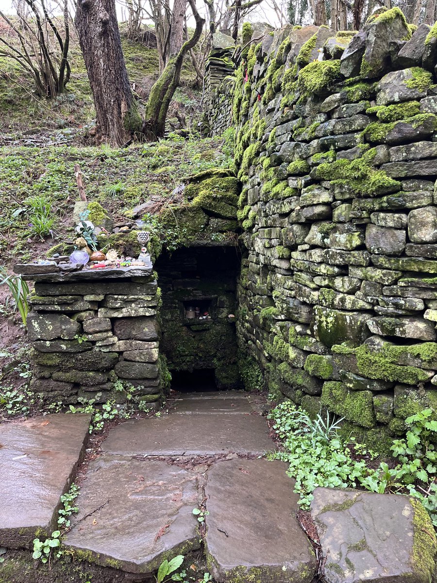 Frances Spurrier tweet media