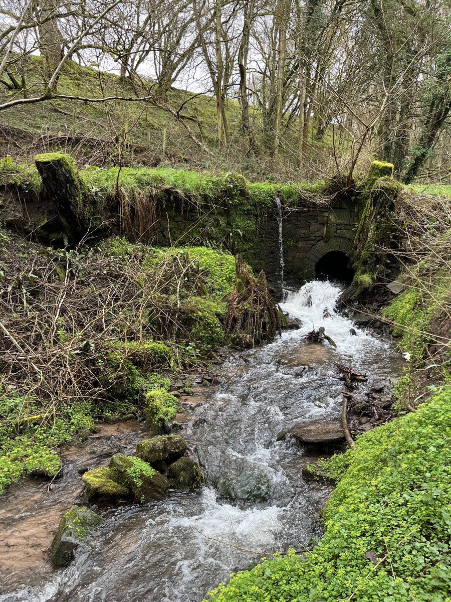 Frances Spurrier tweet media