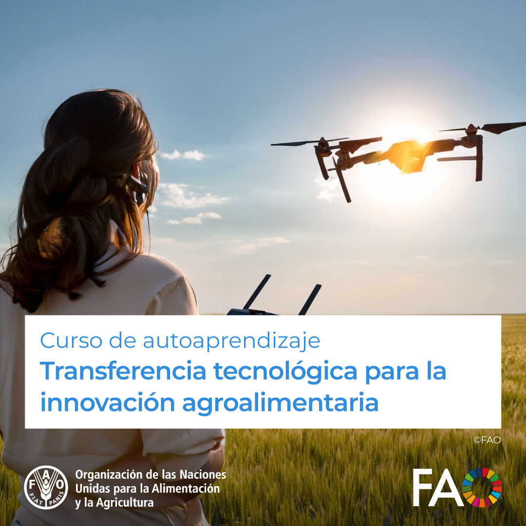 🎓 Curso gratuito en @FAOCampus 📱 Transferencia tecnológica para la innovación agroalimentaria💡 Descubre los desafíos para la generación de impacto a partir de la investigación y el apoyo de fondos públicos. ¡Matricúlate! ➡️ bit.ly/3rUMAMk @FAO @FAOAmericas