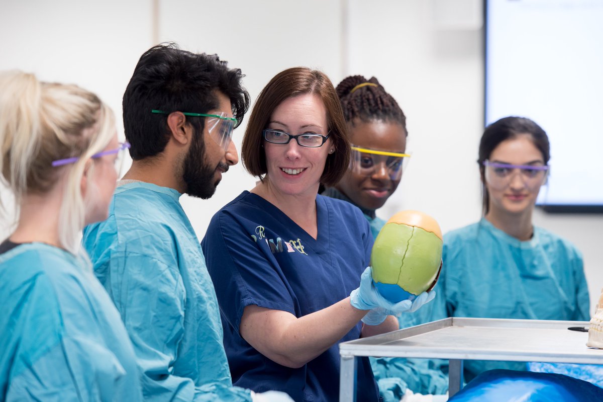 🗣️We are recruiting for anatomy demonstrators! The job is a year-long post from August to August. Applications from @bsmsalumni and all F3-5 doctors are very welcome 😊 Find out more and apply 📲 bit.ly/3US7J2t