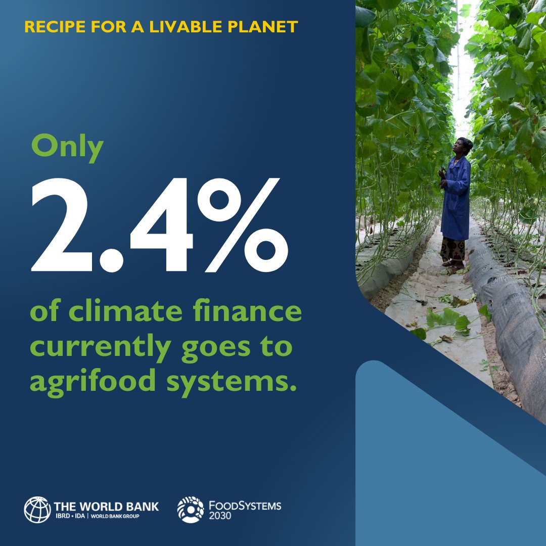 Despite making up 1/3 of global greenhouse gas emissions, #FoodSystems receive just 2% of climate mitigation finance. 👀 Filling the climate financing gap for food and agriculture is critical to fighting the climate crisis! New @WorldBank report: bit.ly/3wATl8Q