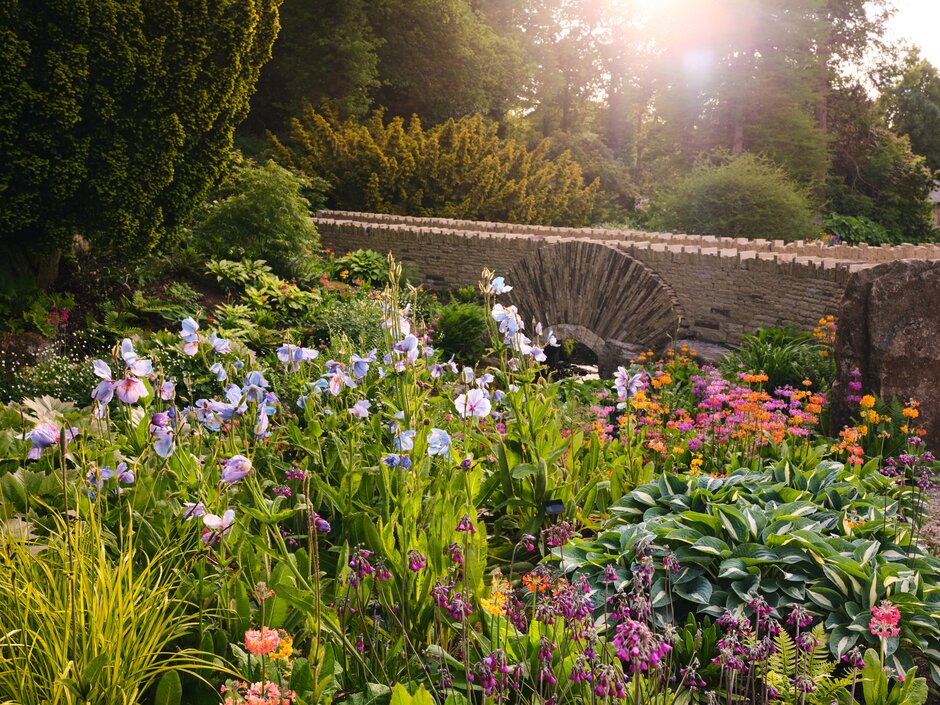 Don't miss our 'Summer Garden Weekend' from 21st - 23rd June.

Find out more here: rhs.org.uk/gardens/harlow…

#RHSHarlowCarr #HarlowCarr #SummerGardenWeekend #Summer #SummerGarden #SummerFlowers #Streamside