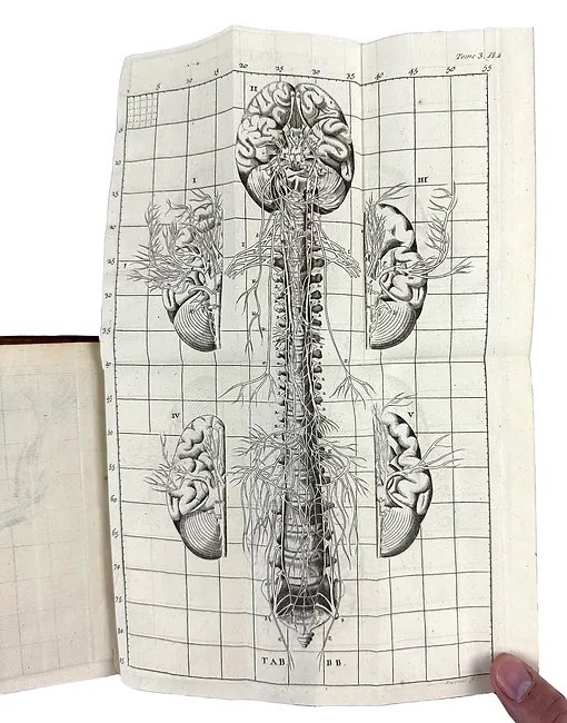 Patrick’s Rare Books tweet media