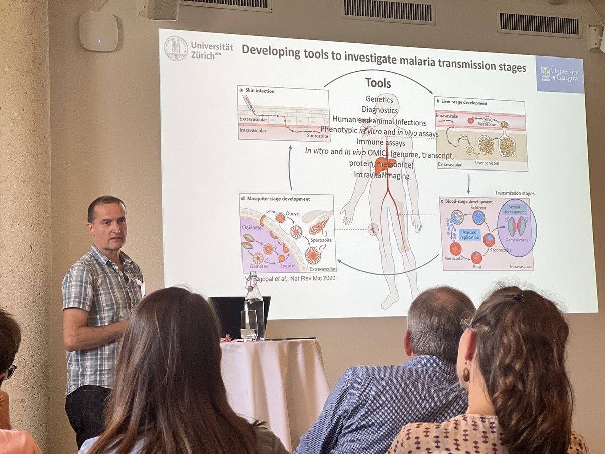 uzh_Parasito's tweet photo. Swiss Apicomplexan Meeting in Bern, Switzerland
#uzh #universityofzurich #universityofbern #universityofgeneva #universityofbasel #swisstph #apicomplex https://t.co/AMlGODnX4U