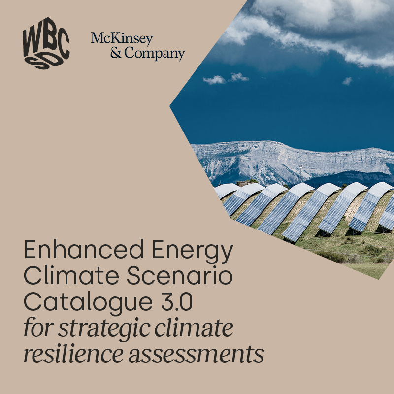 📣 🆕Just launched: the Enhanced Energy Climate Scenario Catalogue 3.0, empowering businesses with advanced tools for strategic climate resilience assessments. 👉wbcsd.org/HIc96 @McKinsey