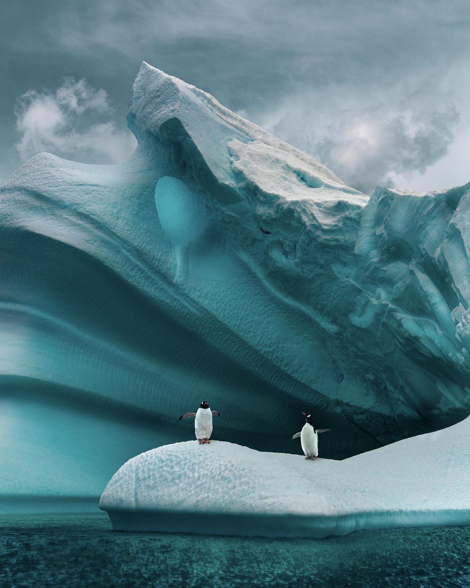 In awe of Antarctica 🇦🇶