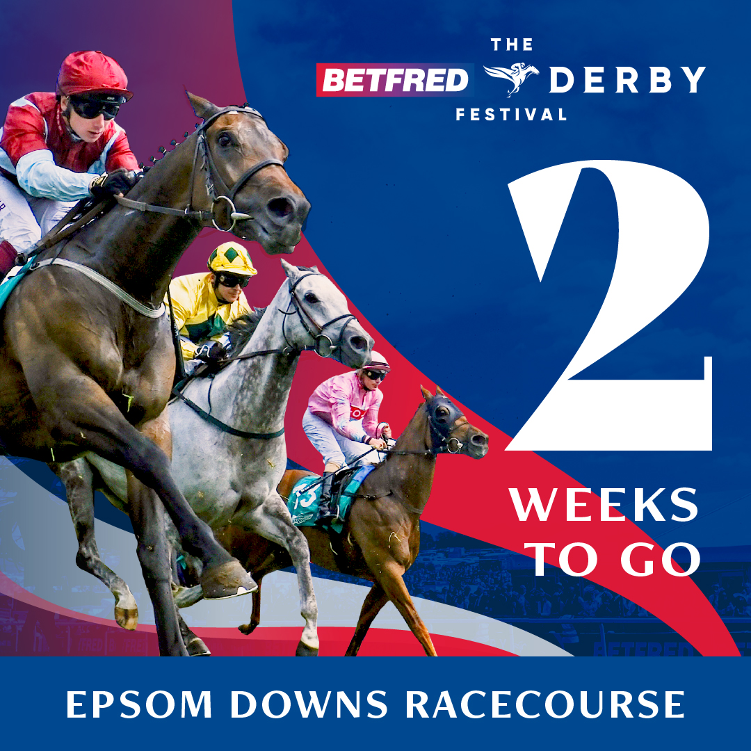 Two. Weeks. The @Betfred Derby Festival is almost upon us 👀