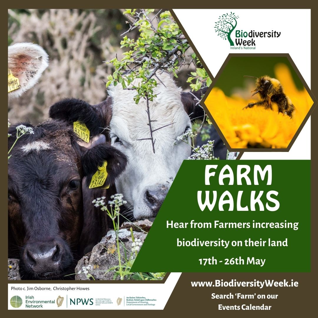 Tomorrow is the first day of Biodiversity Week 2024 with @IrishEnvNet! It will run from 17-26th May. There are lots of events organised on farms, bogs, and in urban areas too. Find one near you on biodiversityweek.ie/events-calenda… A great opportunity to learn more about nature!